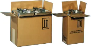 trcartons2