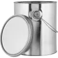 Gallon Unlined Paint Can with Lid & Handle